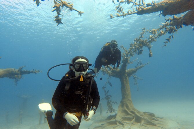 Musan Scuba Diving Private Adventure - Who should book this experience?