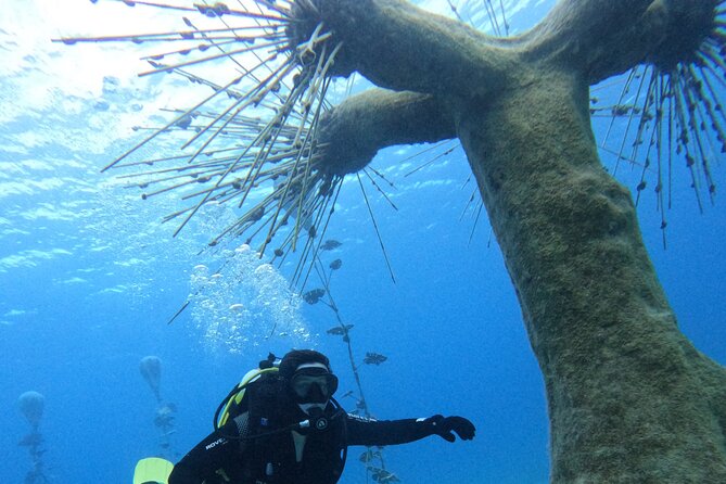 Musan Scuba Diving Private Adventure - Getting comfortable with the equipment
