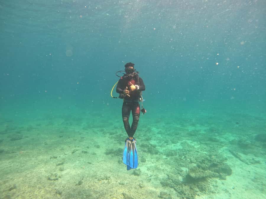 Muscat: Daymaniat Islands Scuba Diving for Beginners - Snorkeling adds value to the morning