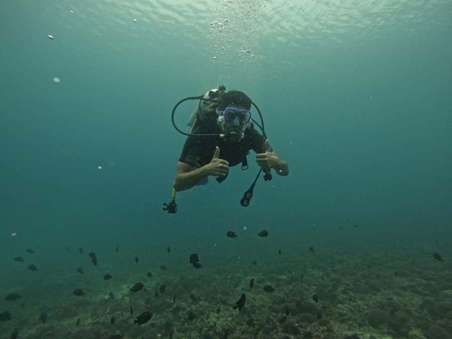 Muscat: Daymaniat Islands Scuba Diving for Beginners - The instructors are a major part of the experience