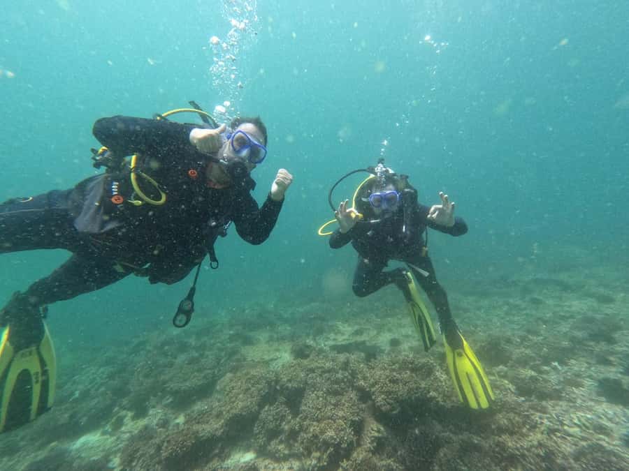 Muscat: Daymaniat Islands Scuba Diving for Beginners - Is $194 good value?