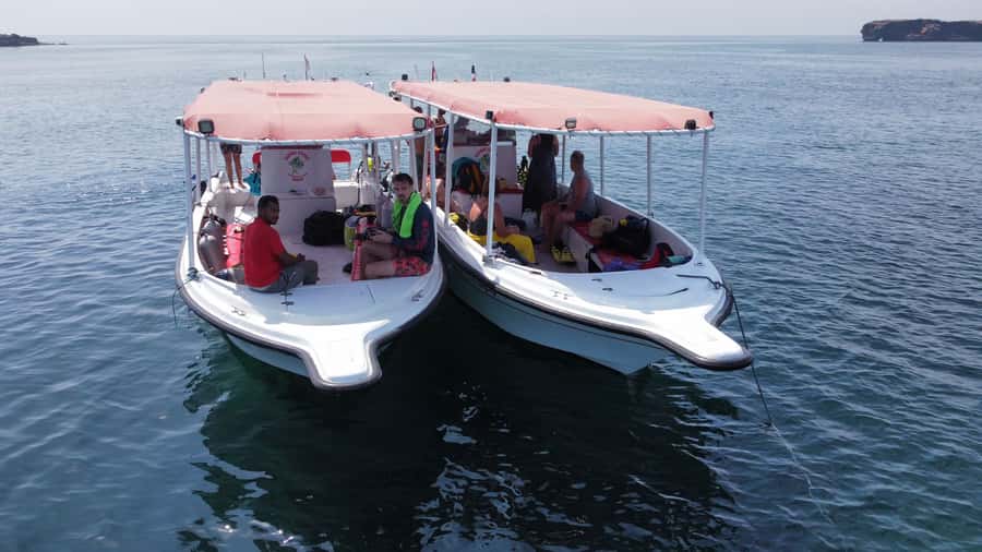 Muscat: Daymaniat Islands Scuba Diving for Beginners - What happens from the 8:15 AM departure