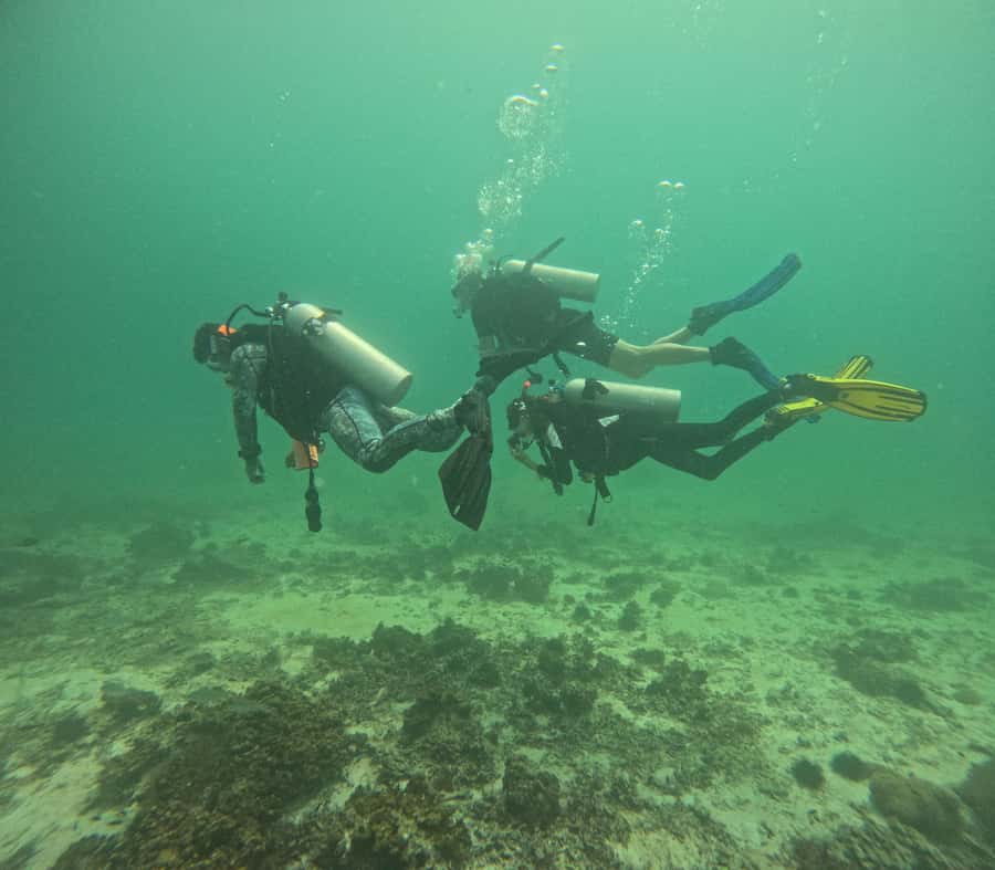 Muscat: Daymaniat Islands Try Scuba Diving - Key points to know before booking