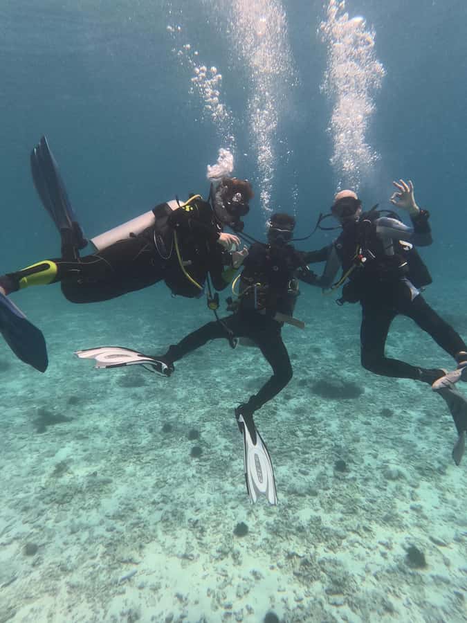 Muscat: Daymaniat Islands Try Scuba Diving - Who should book this experience?