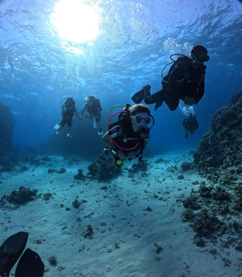Museum Diving Experience in the Red Sea - How the guides shape the experience