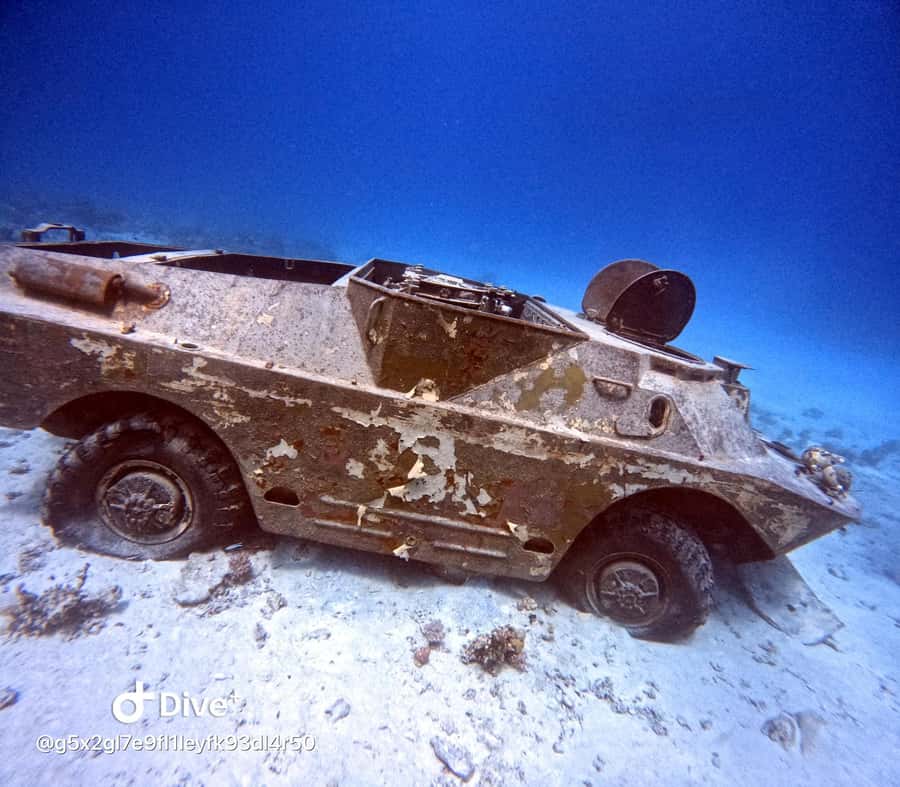 Museum Diving Experience in the Red Sea - The opening briefing and equipment setup