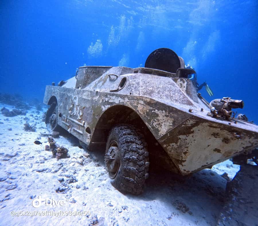 Museum Diving Experience in the Red Sea - Two hours among military artifacts and marine life