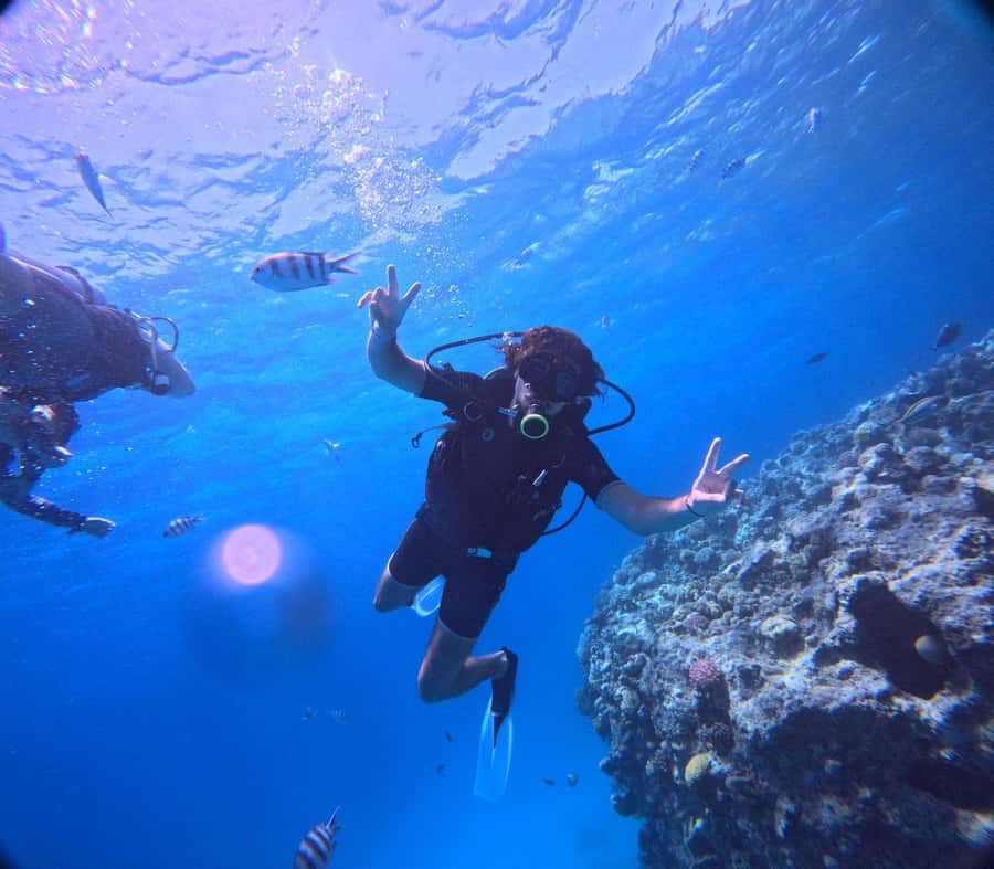 Museum Diving Experience in the Red Sea - Lunch, then a second underwater location