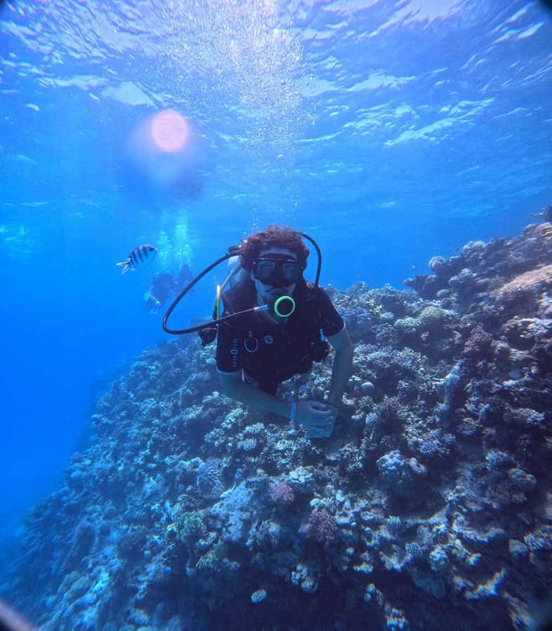 Museum Diving Experience in the Red Sea - What the $61 price really covers