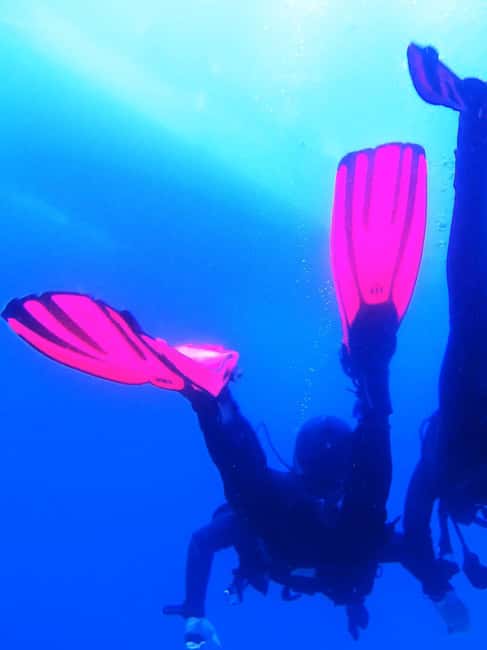 My first scuba dive into the Ocean from Sao Miguel - Key points to know before booking