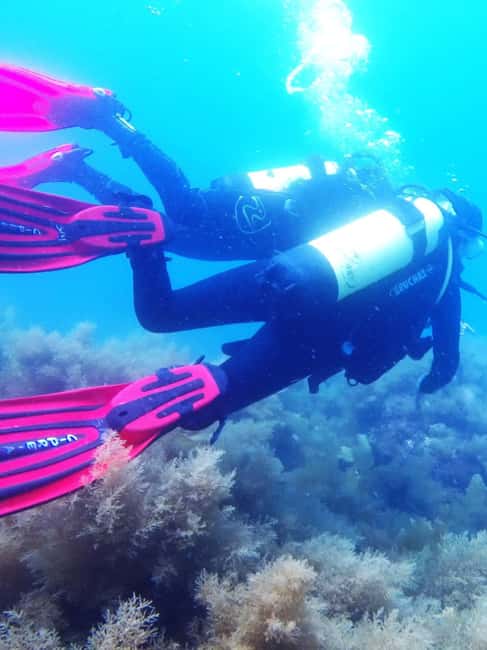 My first scuba dive into the Ocean from Sao Miguel - Starting at Vila Franca do Campo Marina