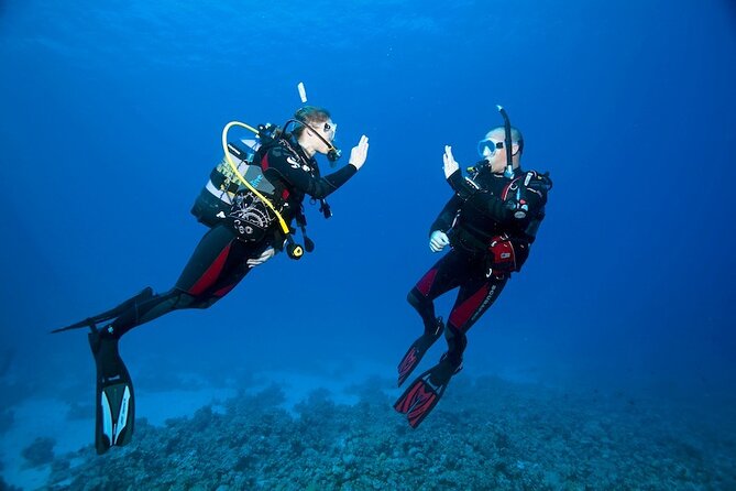 My first scuba experience in the Ocean - Key points at a glance