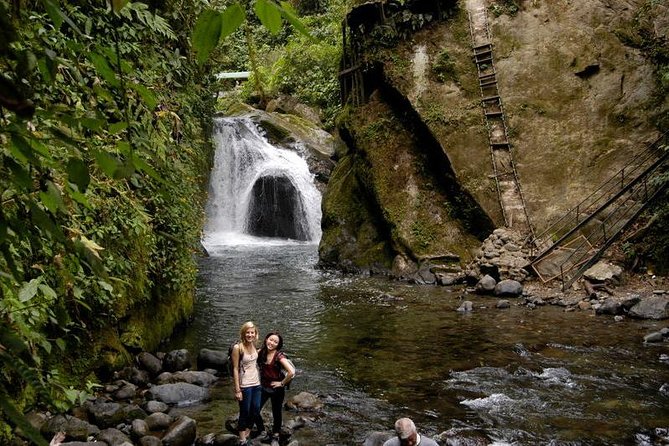 Mystical Mindo Marvels: A Daylong Dive into Nature's Dreamland! - Canopy Lines Above the Forest