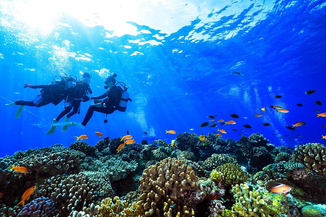 Naha: Full-Day Introductory diving & Snorkeling in the Kerama Islands, Okinawa - Health rules, sea conditions, and the fine print