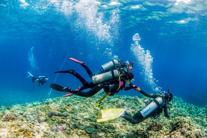 Naha: Full-Day Introductory diving & Snorkeling in the Kerama Islands, Okinawa - Who will enjoy this outing most?