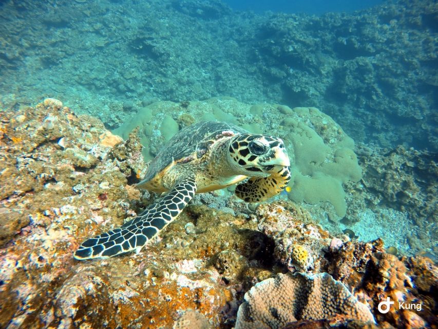 Naha, Okinawa: Kerama Islands Full-Day Intro-Diving Trip - Snorkeling across the other locations