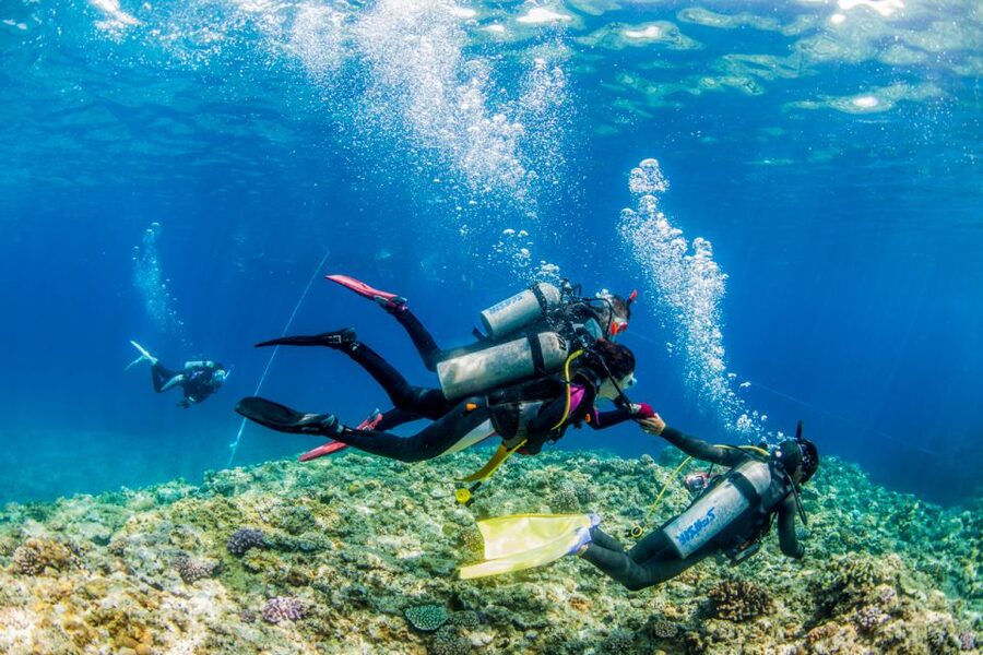 Naha, Okinawa: Kerama Islands Full-Day Intro-Diving Trip - Lunch, showers, and the practical details