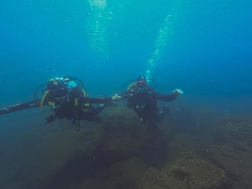 Napoli: Dive or Discover Scuba Diving in the Park of Baia - Who will enjoy this most?
