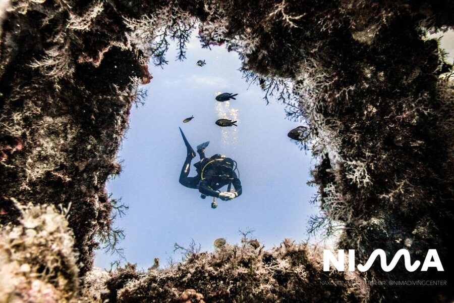 Naxos: Discover Scuba Dive with Nima Dive Center - Key points at a glance