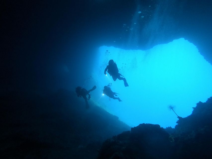 Naxos: Discover Scuba Dive with Nima Dive Center - Before arrival: complete the PADI preparation