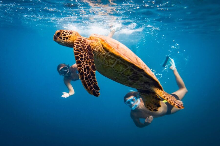 Naxos: Discover Scuba Diving on Agios Georgios Beach - The first underwater descent, limited to six meters