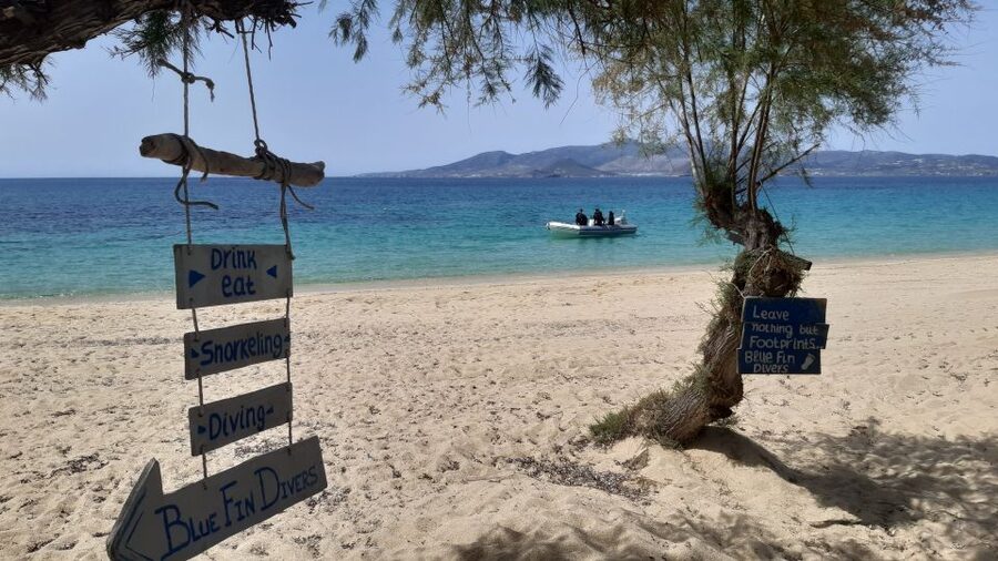 Naxos: Discover Scuba Diving - Your first experience diving - What the strongest feedback tells you