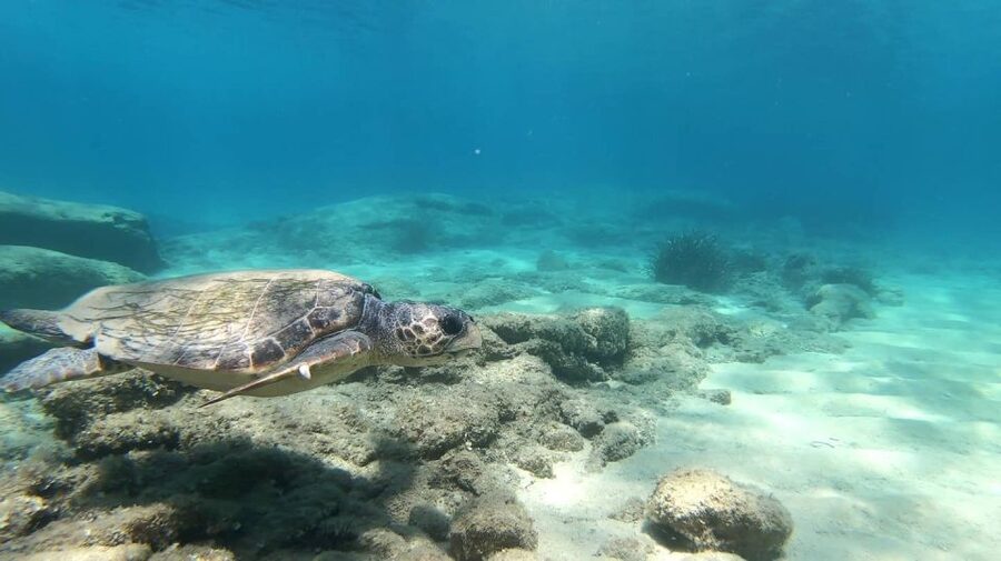 Naxos: Discover Scuba Diving - Your first experience diving - Who should book this experience?