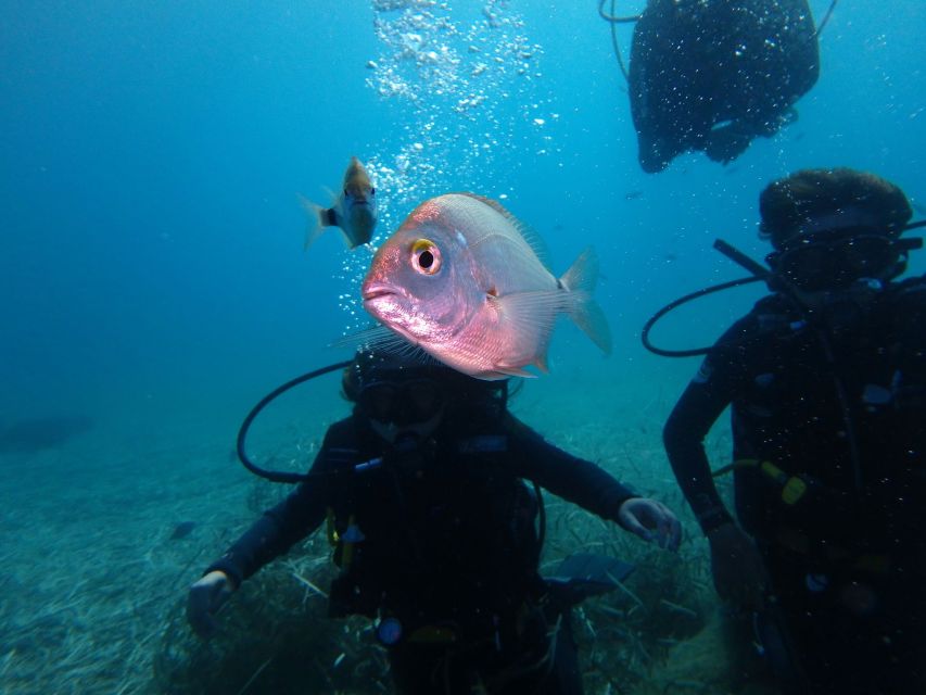 Naxos: Discover Scuba Diving - Your first experience diving - The 35-minute briefing gives you time to settle in