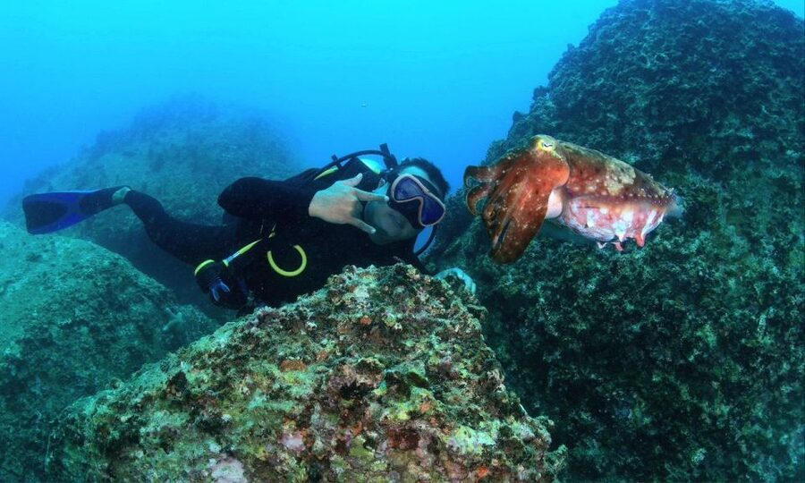 Nha Trang : Scuba diving experience for certified dive - My verdict on the underwater experience