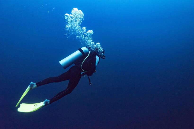 Nha Trang : Scuba diving experience for certified dive - Who should choose this activity?