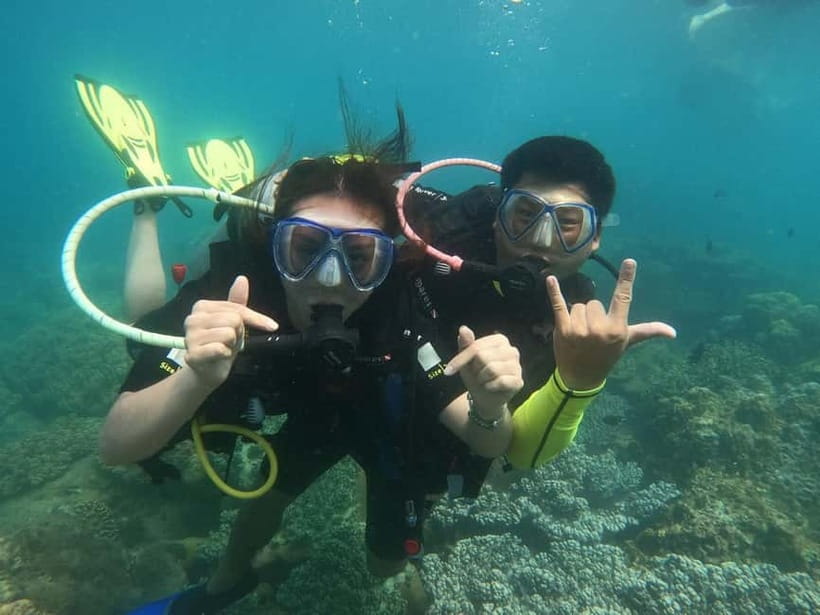 Nha Trang : Scuba diving experience for certified dive - How to prepare for the day