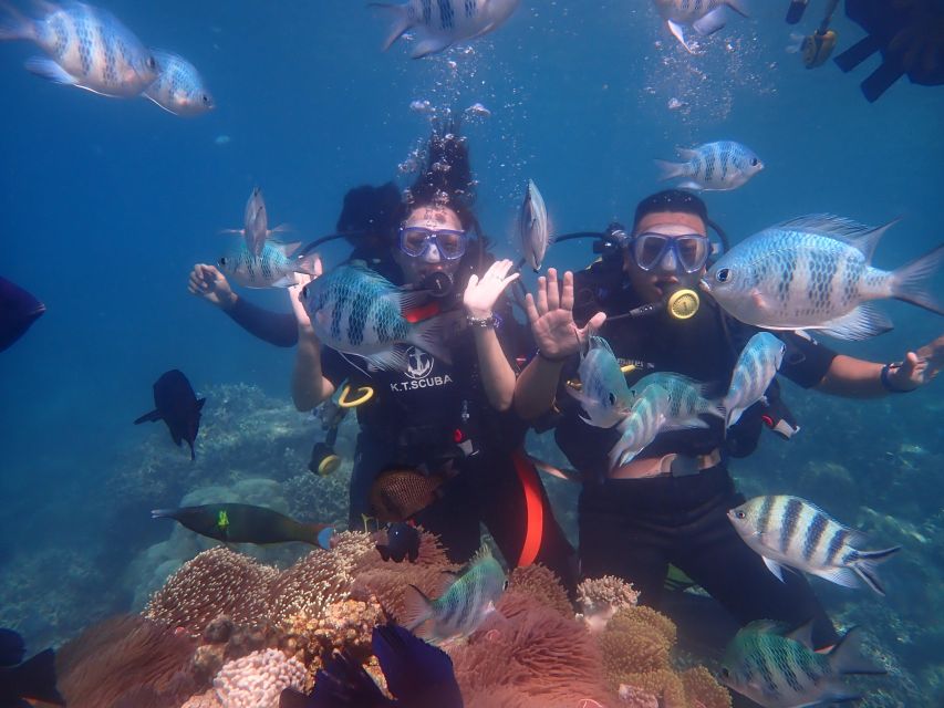 Nha Trang: Scuba Diving Experience for Non-Certified Divers - Why Nha Trang is a good place for a first underwater session