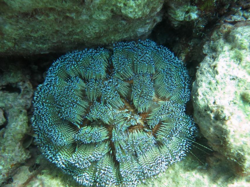 Nha Trang: Scuba Diving Experience for Non-Certified Divers - The break, snacks, and time to regain your confidence