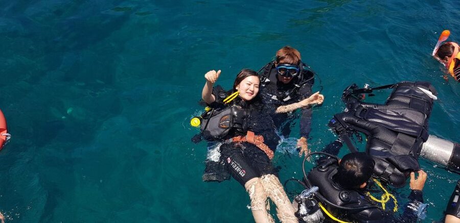 Nha Trang: Scuba Diving Experience for Non-Certified Divers - Pickup, port transfer, and the boat ride
