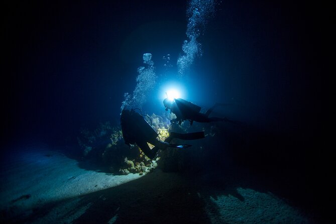 Night Dive Adventure in Oahu - Key points to know before booking