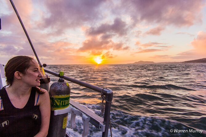 Night Dive Adventure in Oahu - What happens during the first, dusk session