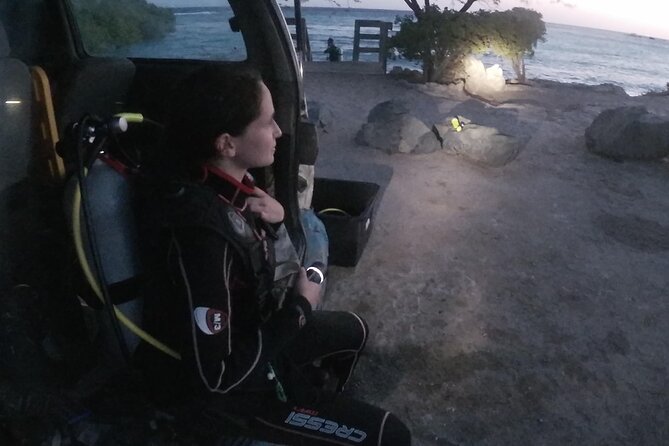 Night Shore Diving Mangel Halto Aruba for Certified Divers - Key points to know before you book