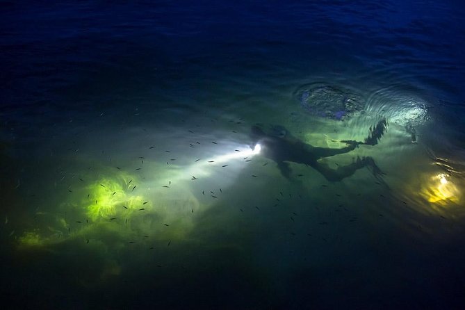 Night Shore Diving Mangel Halto Aruba for Certified Divers - Is $80 a fair price?