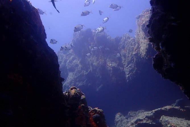 Nima Diving Center, Naxos, Greece - What the two-hour Naxos session is really like
