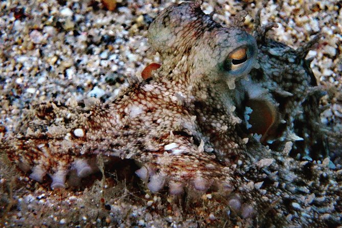 Nima Diving Center, Naxos, Greece - Why the private format helps first-timers