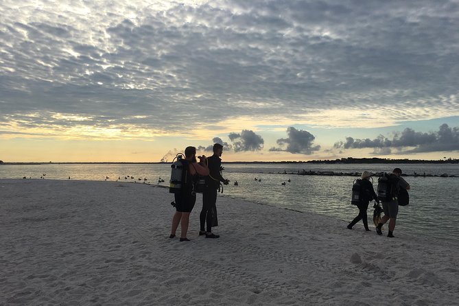 No Experience Required to Discover Scuba in Florida - A morning built around your first underwater breaths
