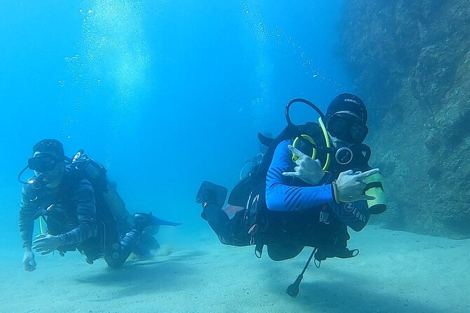 Non-Certified Diving Adventure in Cabo San Lucas - Key points about this Cabo scuba outing