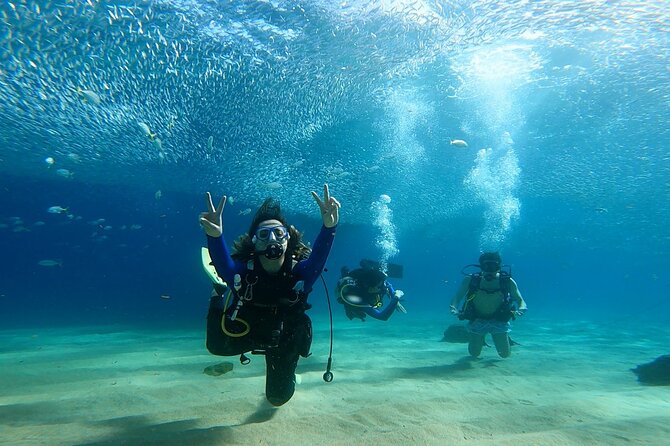 Non-Certified Diving Adventure in Cabo San Lucas - Piedra del Pelicano and its protected sea life