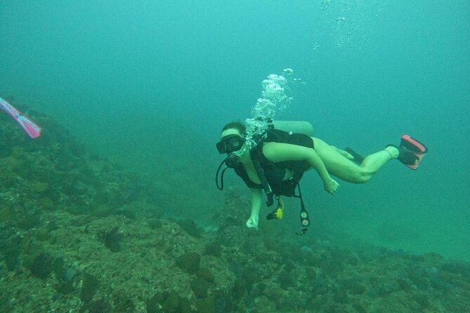 Non-Certified Diving Adventure in Cabo San Lucas - Who will enjoy this experience most