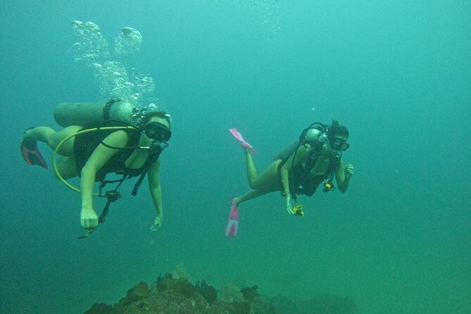 Non-Certified Diving Adventure in Cabo San Lucas - Booking, cancellation, and weather concerns