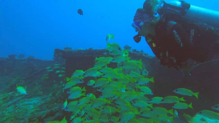 North of Mauritius: Scuba Diving Tour - Certification rules and health limits