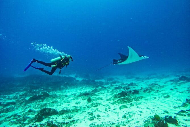 Nusa Penida Private Diving Tour by Speedboat - Starting at Serangan at 8:30 am