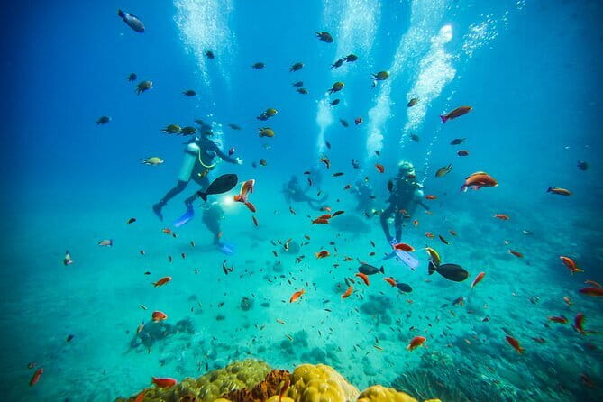 Nusa Penida Private Diving Tour by Speedboat - Crystal Bay after a full one-hour break