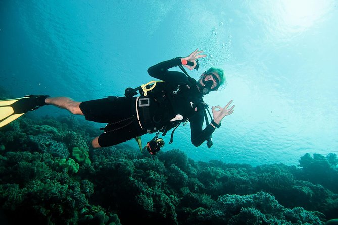 Nusa Penida Two Dives Trip for Certified Divers - Starting at Pure Dive Resort in Ped