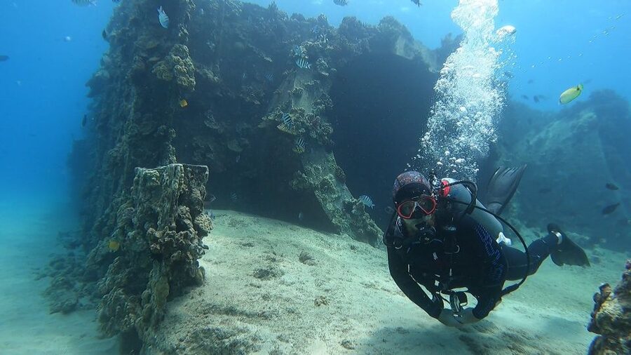 Oahu: Beginner SCUBA Dive at Electric Beach - Why Electric Beach Works for First-Time Scuba